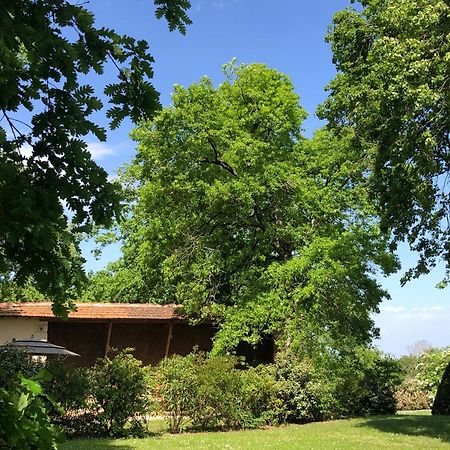 Le Buscagneau Villa Béraut Екстериор снимка